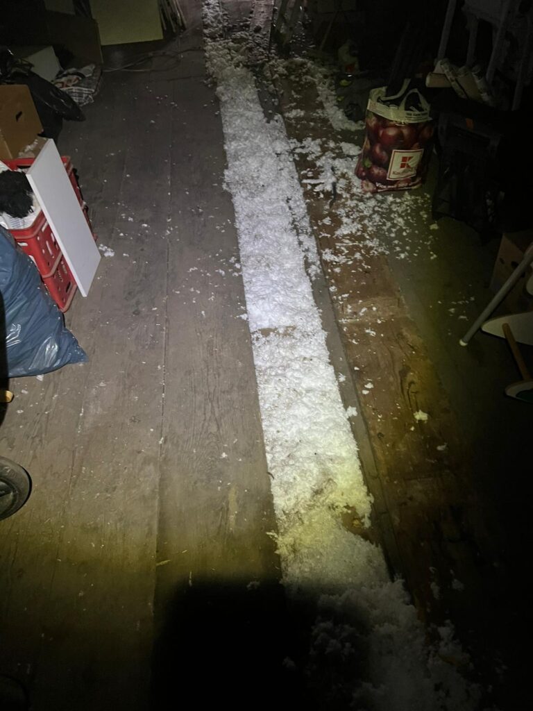 Zateplení vodorovné dutiny - Ekoizolace - ekologické foukané izolace
